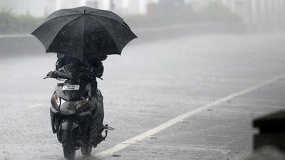A motorist shelters under an umbrella while riding along a road during heavy rainfall in Chennai. (AFP) A motorist shelters under an umbrella while riding along a road during heavy rainfall in Chennai. (AFP)