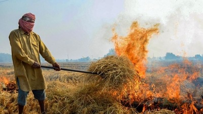 While the number of farm fires collectively in Punjab and Haryana were only 20,723 till October 31, this figure has more than tripled, to 62,308 in the last 10 days. (PTI) While the number of farm fires collectively in Punjab and Haryana were only 20,723 till October 31, this figure has more than tripled, to 62,308 in the last 10 days. (PTI)