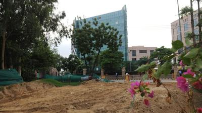 The GMDA has also decided to develop around 300 kilometres of green belts across Gurugram this year, and plant different species of plants there over the next three years, to increase green spaces in the city. (Representational image/HT Archive)