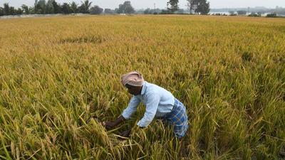 The Himachal Kisan Sabha alleged that the move to close Riyali market was BJP’s reprisal for its defeat in the byelection. (Representative Image/AFP) The Himachal Kisan Sabha alleged that the move to close Riyali market was BJP’s reprisal for its defeat in the byelection. (Representative Image/AFP)