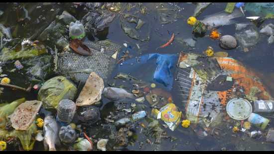 Some dead fish found floating amidst debris on Krushnale Lake in Panvel on Wednesday. (HT PHOTO) Some dead fish found floating amidst debris on Krushnale Lake in Panvel on Wednesday. (HT PHOTO)