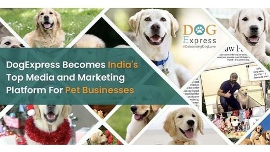 DogExpress has always been a user-focused brand with unconditional love for dogs at the core.