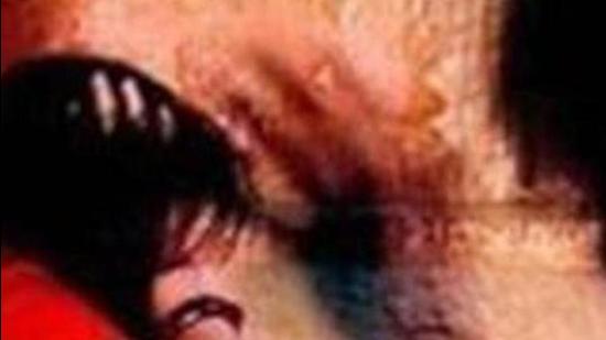 A case has been registered against the suspect under Indian Penal Code (IPC) sections 354 (assault of criminal force to woman with intent to outrage her modesty) and 506 (criminal intimidation) at the Jarcha police station on Wednesday. (Raj K Raj/HT)