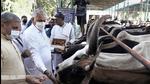 Union minister for fisheries, animal husbandry & dairying Parshottam Rupala during the celebrations of World Animal Day, organised by Animal Welfare Board of India (AWBI) at Kamdhenu Dham Gaushala, in Gurugram. (PTI/File photo)