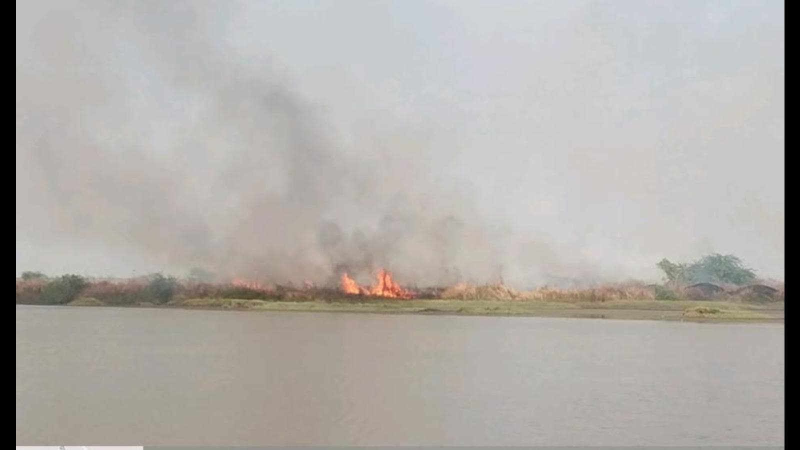 Fire in Navi Mumbai’s Panje wetlands to chase away migratory birds, allege environmentalists