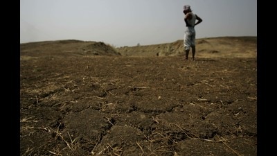 On parched ground: A farmer in Wardha, Maharashtra. (Prasad Gori/HT Photo)