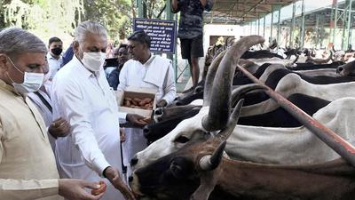 Union minister for fisheries, animal husbandry & dairying Parshottam Rupala during the celebrations of World Animal Day, organised by Animal Welfare Board of India (AWBI) at Kamdhenu Dham Gaushala, in Gurugram. (PTI/File photo) Union minister for fisheries, animal husbandry & dairying Parshottam Rupala during the celebrations of World Animal Day, organised by Animal Welfare Board of India (AWBI) at Kamdhenu Dham Gaushala, in Gurugram. (PTI/File photo)