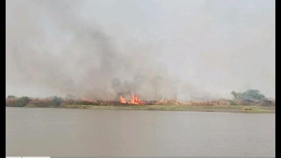 Fire at Panje wetlands, Navi Mumbai. (HT PHOTO)