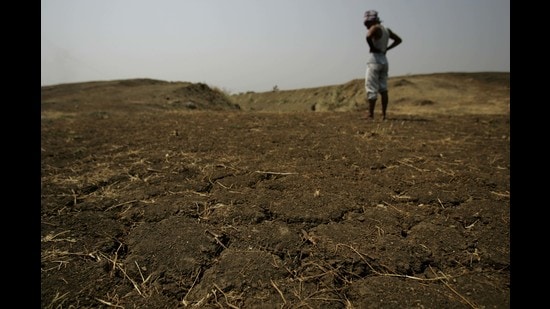 On parched ground: A farmer in Wardha, Maharashtra. (Prasad Gori/HT Photo)