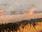 A farmer burns straw stubble after harvesting a paddy crop in a field near the India-Pakistan wagah border, some 35 Km from Amritsar on November 13, 2021.&nbsp;