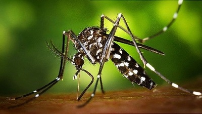 Containment zones to be created in Zika affected areas of Lucknow