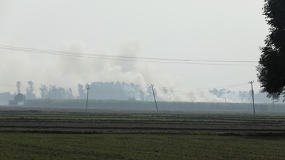 Stubble burning smoke emanates from a field in Gharaunda in Haryana (REUTERS)
