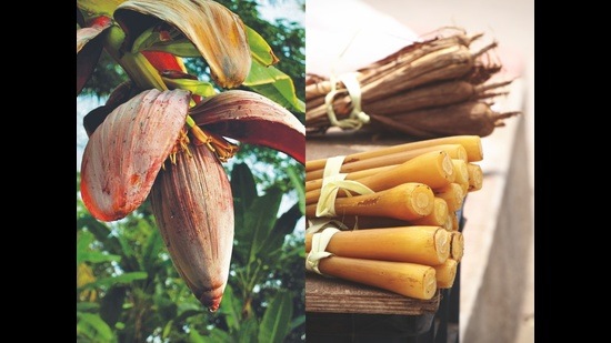 Some of the ingredients included in the Forgotten Foods calendar include banana flowers (left), banana stem, palm shoots and recipes to go with them. Some of the ingredients included in the Forgotten Foods calendar include banana flowers (left), banana stem, palm shoots and recipes to go with them.