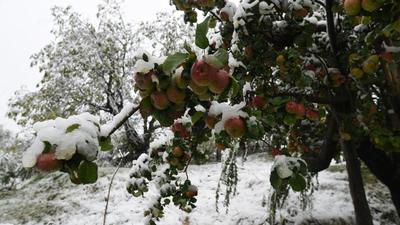 The temperatures in Jammu and Kashmir will keep dipping till a western disturbance changes the dry weather condition.The ski resort of Gulmarg recorded minus 1.8 degrees and a temperature of minus 1.3 degrees was witnessed in Kupwara. (HT PHOTO.)