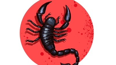 Despite the ability to be popular there is something very lonely about you. Despite the ability to be popular there is something very lonely about you.