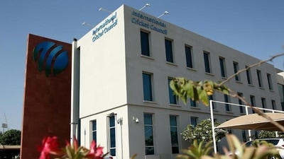 The International Cricket Council (ICC)&nbsp; (ICC)