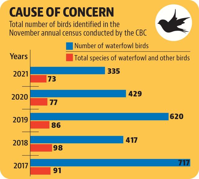 Bird count drops to five-year low in Chandigarh Bird count drops to five-year low in Chandigarh