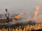 A farmer burns straw stubble after harvesting a paddy crop in a field near the India-Pakistan wagah border, some 35 Km from Amritsar(AFP) A farmer burns straw stubble after harvesting a paddy crop in a field near the India-Pakistan wagah border, some 35 Km from Amritsar(AFP)