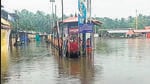 The State Disaster Management Authority informed that in the last 24 hours, Kollam, Kottayam, Thiruvananthapuram, Idukki and Thrissur were affected the most. (ANI) The State Disaster Management Authority informed that in the last 24 hours, Kollam, Kottayam, Thiruvananthapuram, Idukki and Thrissur were affected the most. (ANI)