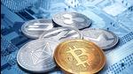 The hacker has become the main person of interest in a raging Bitcoin scandal in Karnataka that has engulfed the entire political class with the police trying to unearth the purported scam and its magnitude. (Shutterstock/Representative use) The hacker has become the main person of interest in a raging Bitcoin scandal in Karnataka that has engulfed the entire political class with the police trying to unearth the purported scam and its magnitude. (Shutterstock/Representative use)