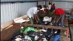 Workers unloading partly segregated waste. The MCG, since November 11, collects only segregated waste from households and has directed its drivers and concessionaire not to pick up mixed waste. (HT Archive) Workers unloading partly segregated waste. The MCG, since November 11, collects only segregated waste from households and has directed its drivers and concessionaire not to pick up mixed waste. (HT Archive)