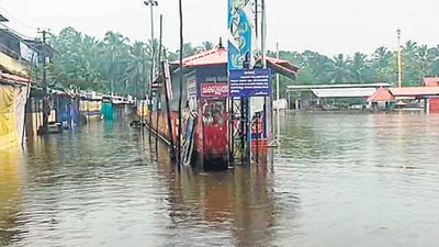 The State Disaster Management Authority informed that in the last 24 hours, Kollam, Kottayam, Thiruvananthapuram, Idukki and Thrissur were affected the most. (ANI) The State Disaster Management Authority informed that in the last 24 hours, Kollam, Kottayam, Thiruvananthapuram, Idukki and Thrissur were affected the most. (ANI)
