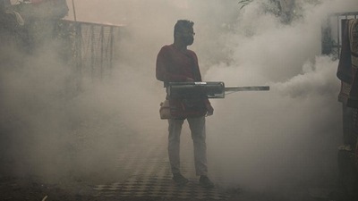 Delhi saw 5,277 Dengue cases as of November 13 and nine deaths. (HT File Photo) Delhi saw 5,277 Dengue cases as of November 13 and nine deaths. (HT File Photo)