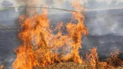 Restrain from burning items as fine particles from smoke are equally bad for health Restrain from burning items as fine particles from smoke are equally bad for health