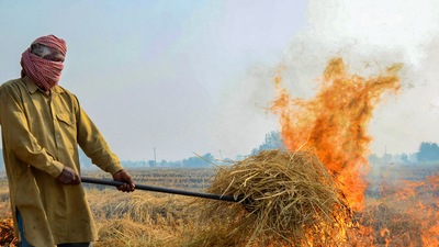Stubble burning is a process of setting on fire the straw stubble, left after the harvesting of grains, like paddy, wheat, etc. (PTI file photo) Stubble burning is a process of setting on fire the straw stubble, left after the harvesting of grains, like paddy, wheat, etc. (PTI file photo)