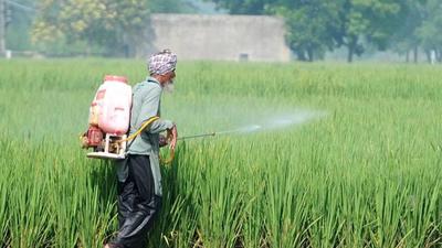 The Punjab agriculture minister said FIRs have been lodged against Mand Khad Store and Sidhu Kheti Store in Gurdaspur and Ranjit Pesticides in Nakodar, Jalandhar for DAP fertiliser hoarding and overpricing. (HT photo)