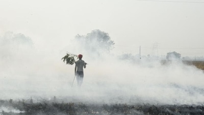 Farmers in Punjab have alleged that the Congress government has done nothing to provide machinery and compensation for controlling stubble burning in the state. (HT file photo)