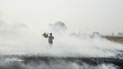 Stubble burning in adjoining states of Delhi remains a major issue. (HT FILE) Stubble burning in adjoining states of Delhi remains a major issue. (HT FILE)