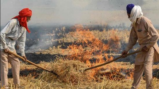 Punjab saw 65,404 farm fires till Sunday, as against 73,893 registered till November 14 last year. Stubble burning is being blamed for severe air pollution in the NCR region. (HT photo)