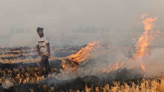 A farmer burns straw stubble after harvesting a paddy crop in a field near the India-Pakistan wagah border, some 35 Km from Amritsar(AFP)