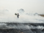 Punjab is responsible for the largest number of farm fires in the northern region, over six times the number of fires in the states of Haryana and Uttar Pradesh.(PTI) Punjab is responsible for the largest number of farm fires in the northern region, over six times the number of fires in the states of Haryana and Uttar Pradesh.(PTI)