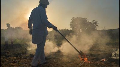 According to the Safar data, the contribution from stubble burning to pollution in Delhi was 25% on November 4, 36% on November 5, 41% on November 6, and it peaked at 48% on November 7. By November 14, this came down to 31%. (PTI) According to the Safar data, the contribution from stubble burning to pollution in Delhi was 25% on November 4, 36% on November 5, 41% on November 6, and it peaked at 48% on November 7. By November 14, this came down to 31%. (PTI)