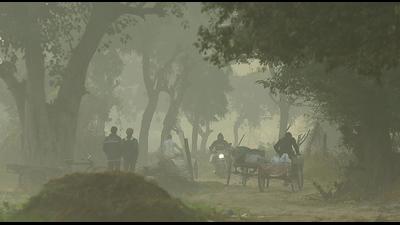 New Delhi, India - Nov. 16, 2021: A view of a field blanketed in smog amid rising air pollution near Mayur Vihar in New Delhi, India, on Tuesday, November 16, 2021.The air quality in the national capital plunged to the 'severe category' leaving residents gasping for fresh air on Tuesday morning. The System of Air Quality and Weather Forecasting and Research (SAFAR), informed that the air quality index in the city is at 499 thereby being in the 'severe category. (Photo by Raj K Raj / Hindustan Times) (Hindustan Times) New Delhi, India - Nov. 16, 2021: A view of a field blanketed in smog amid rising air pollution near Mayur Vihar in New Delhi, India, on Tuesday, November 16, 2021.The air quality in the national capital plunged to the 'severe category' leaving residents gasping for fresh air on Tuesday morning. The System of Air Quality and Weather Forecasting and Research (SAFAR), informed that the air quality index in the city is at 499 thereby being in the 'severe category. (Photo by Raj K Raj / Hindustan Times) (Hindustan Times)