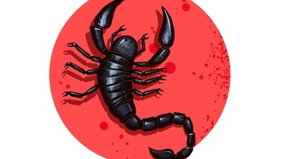 You are good at figuring out the most scenic route from point A to point B. You are good at figuring out the most scenic route from point A to point B.