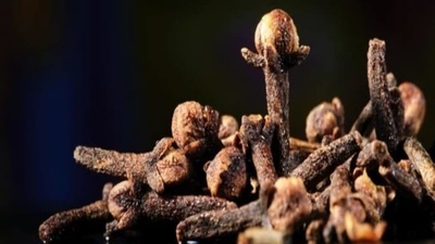 Clove: Clove is known to reduce pain and inflammation caused by acidity and produce enzymes required for digestion. Having a few cloves after meals can aid digestion. Clove: Clove is known to reduce pain and inflammation caused by acidity and produce enzymes required for digestion. Having a few cloves after meals can aid digestion.