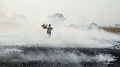Punjab is responsible for the largest number of farm fires in the northern region, over six times the number of fires in the states of Haryana and Uttar Pradesh. (PTI) Punjab is responsible for the largest number of farm fires in the northern region, over six times the number of fires in the states of Haryana and Uttar Pradesh. (PTI)