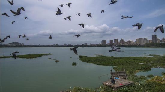 The Bombay high court (HC) on Tuesday extended its stay on the construction of a cycling and jogging track around Powai Lake, in Kurla taluka, till January 31, 2022. (Pratik Chorge/HT Photo)