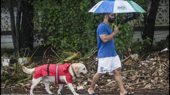 The one-time registration fee for pet dogs in Mohali is <span class='webrupee'>₹</span>100 and the annual renewal fee is also <span class='webrupee'>₹</span>100. (Satyabrata Tripathy/HT Photo)