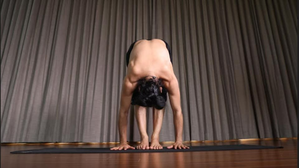 Padahastasana(Grand Master Akshar)