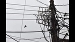 A departmental inquiry committee has found three Noida engineers guilty of illegally giving financial benefits to a colonizer while sanctioning the power load for the Gaur Saundaryam multi-storey residential complex in Greater Noida (Pic for representation) A departmental inquiry committee has found three Noida engineers guilty of illegally giving financial benefits to a colonizer while sanctioning the power load for the Gaur Saundaryam multi-storey residential complex in Greater Noida (Pic for representation)