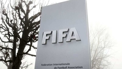 FIFA politics a new challenge for Ellis over biennial World Cups (REUTERS)