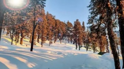 Dhanaulti: Situated at an altitude of 2,286 m, Dhanaulti is best for a weekend getaway. Surrounded by the forests of Oak and Deodar, Dhanaulti is a serene spot to avoid the hustle of a city. (Live Hindustan)
