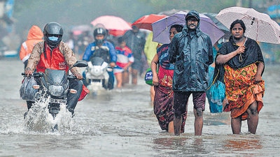 Tamil Nadu, Puducherry, and coastal Andhra Pradesh received rainfall last week under the influence of another low-pressure area. (AFP Photo/File/Representative use)