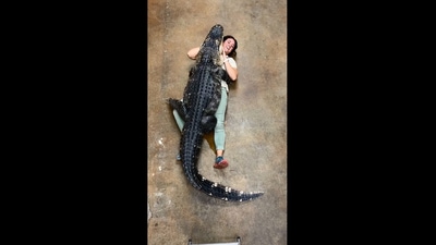 The image shows a zookeeper hugging a huge crocodile. (Instagram/@thereptilezoo)