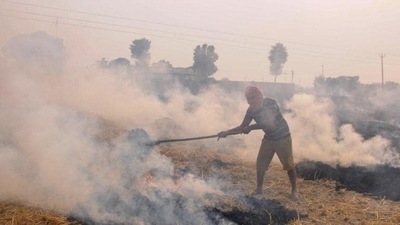 Till November 16, Punjab recorded 74,015 farm fire counts, compared to 72,373 in the same period last year. In 2016, the figure stood at 84,886. (PTI file photo) Till November 16, Punjab recorded 74,015 farm fire counts, compared to 72,373 in the same period last year. In 2016, the figure stood at 84,886. (PTI file photo)