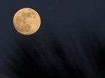 Lunar Eclipse 2021: Date, time and all that you need to know(AFP) Lunar Eclipse 2021: Date, time and all that you need to know(AFP)